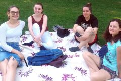 Picnic_201903